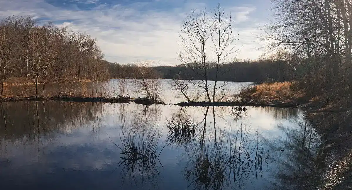 Ruhige Abendstimmung am See, symbolisch für Regulierung